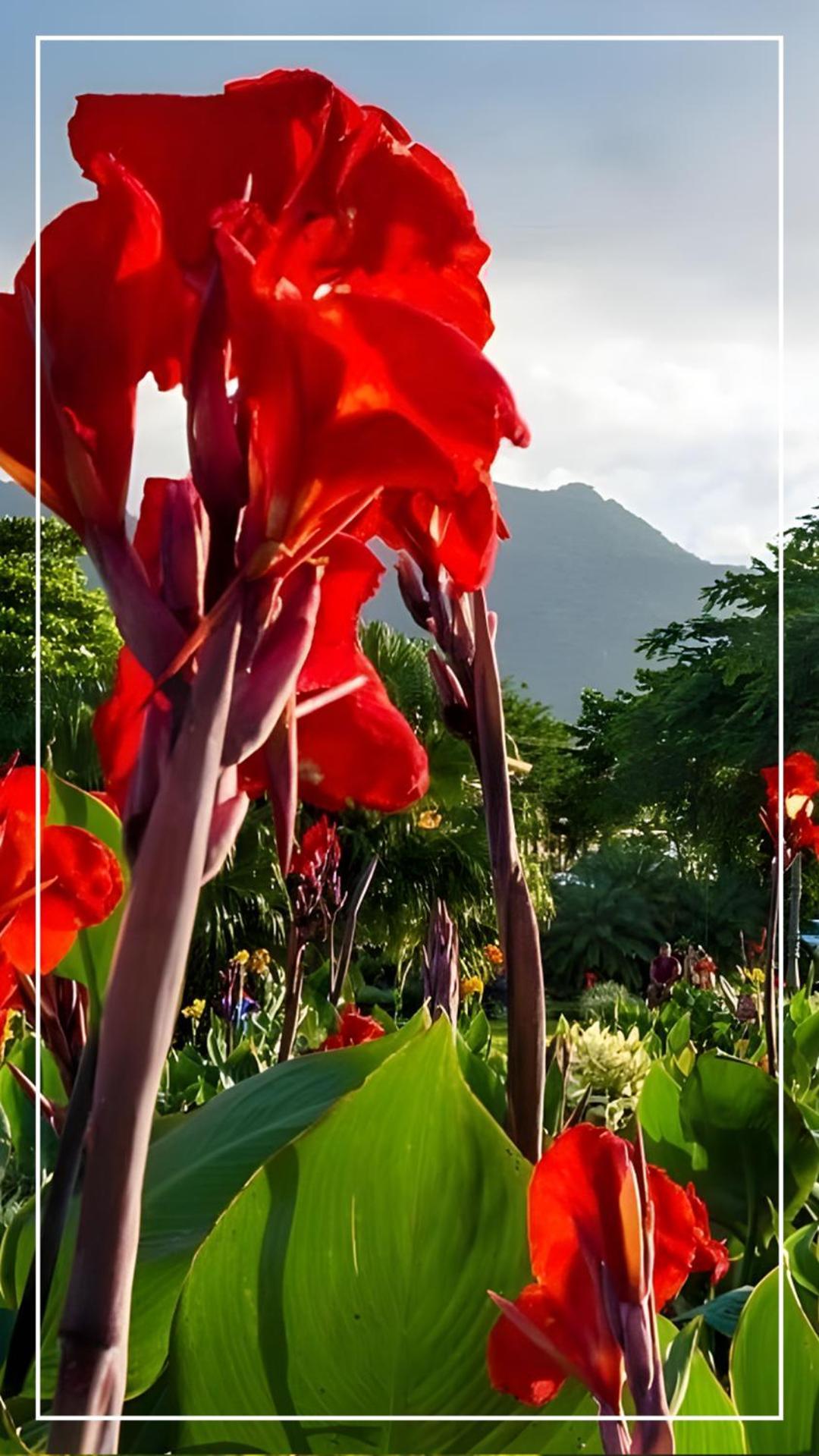 Destino Hotel & Hot Springs - Lujoso Hotel En Provincia Guanacaste, San Bernando De Bagaces, Bagaces ภายนอก รูปภาพ